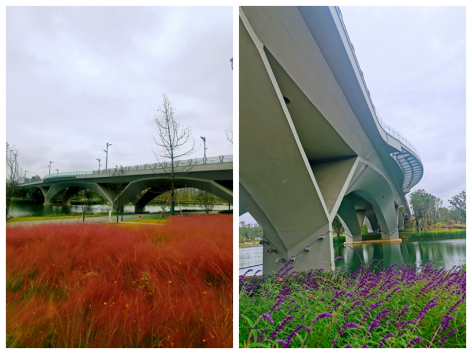 1653983323564533.png 下載.png