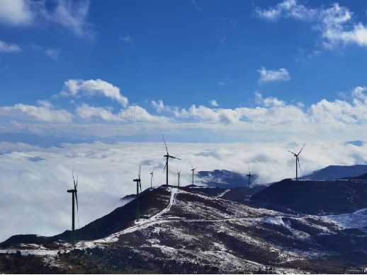 1687162174961760.jpg 1686820611425.jpg